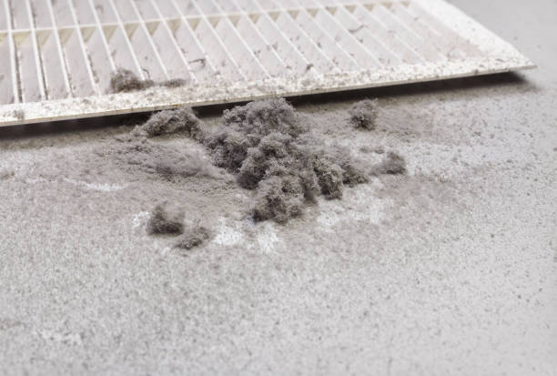 Best Affordable HVAC Duct Cleaning  in Mford, IL